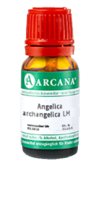 ANGELICA ARCHANGELICA LM 5 Dilution